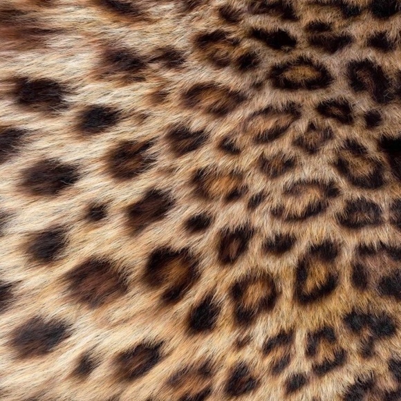 tanyamsc